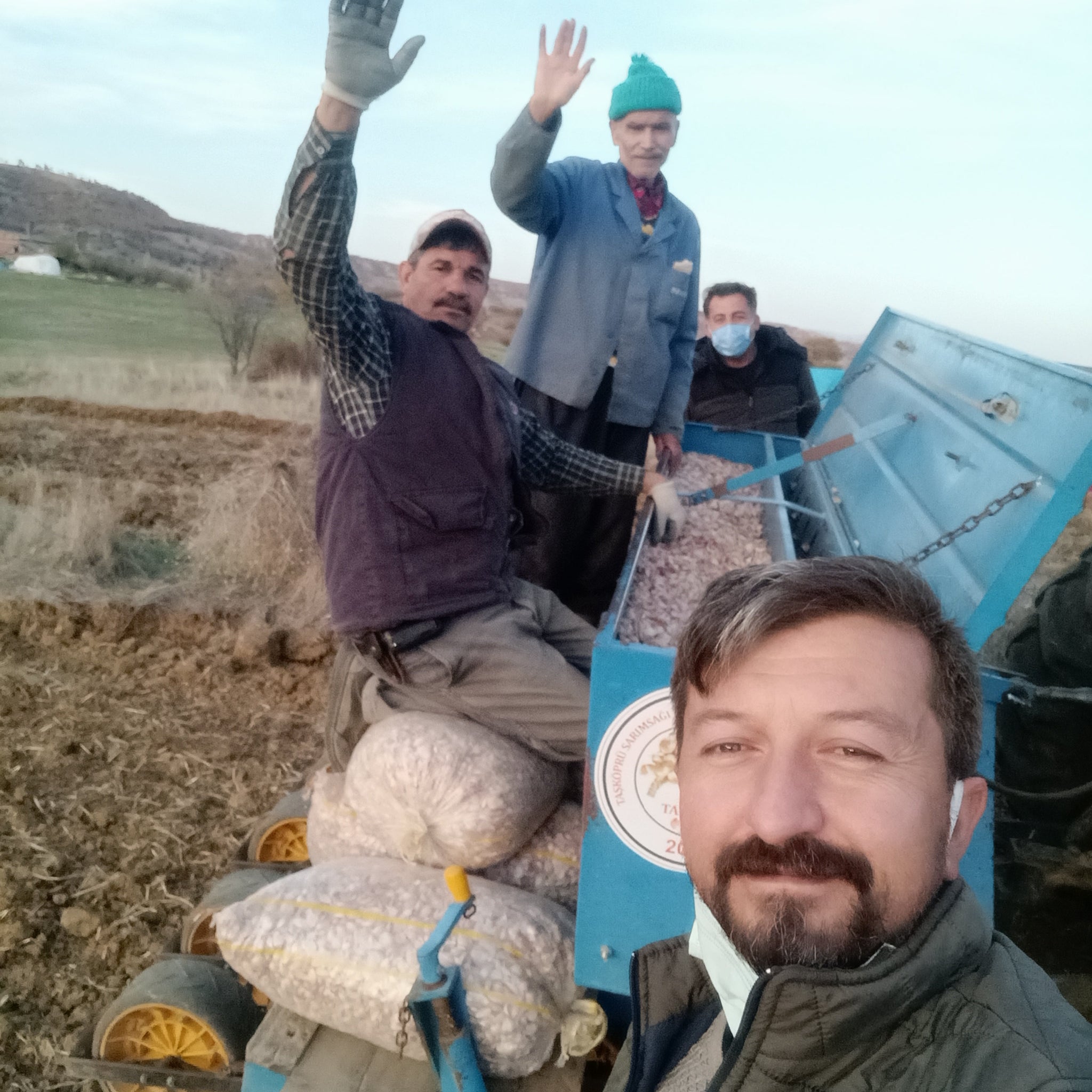 Türkiye’nin Sarımsak Gücü: Soyulmuş Sarımsak, Sarımsak Tohumu ve Taşköprü Sarımsağında 13 Yıllık Tecrübe