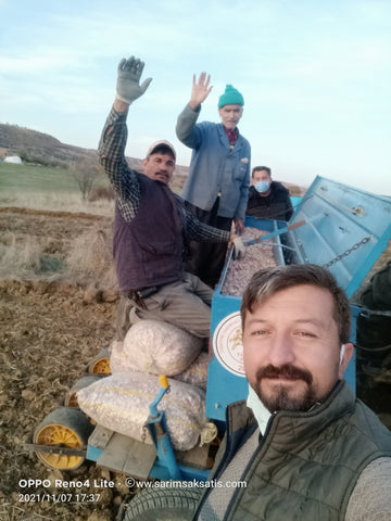 Türkiye’nin Sarımsak Gücü: Soyulmuş Sarımsak, Sarımsak Tohumu ve Taşköprü Sarımsağında 13 Yıllık Tecrübe