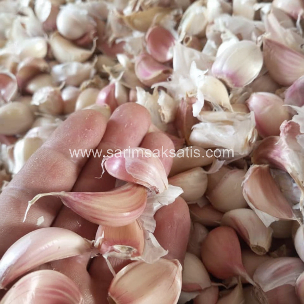 Kaliteli orta boy sarımsak