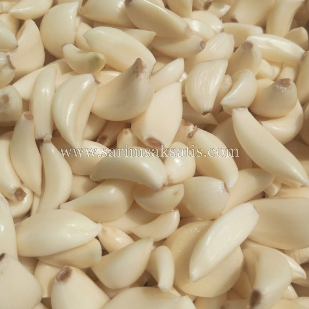 En Kaliteli Soyulmuş sarımsak